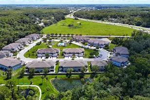 5364 Riverwalk Preserve Dr, New Port Richey, FL 34653 - Photo 74