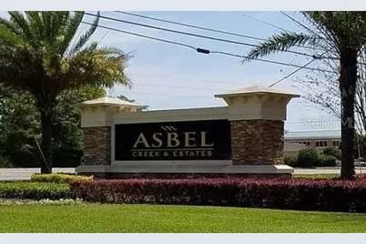18425 Cypress Bay Parkway, Land O Lakes, FL 34638 - Photo 28