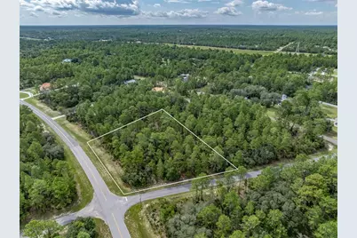 7293 N Windbrook Drive, Citrus Springs, FL 34433 - Photo 6