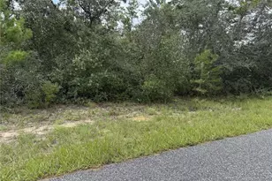 4282 W Thrush Dr, Citrus Springs, FL 34433 - Photo 1