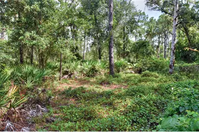 Se 33rd Street, Ruskin, FL 33570 - Photo 16
