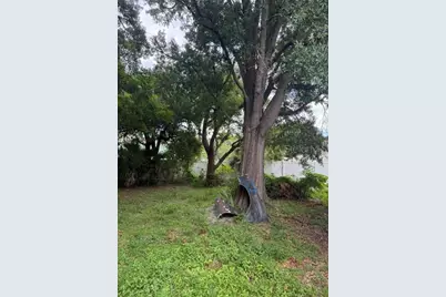 3809 W Horatio Street, Tampa, FL 33609 - Photo 18