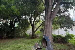 3809 W Horatio St, Tampa, FL 33609 - Photo 18