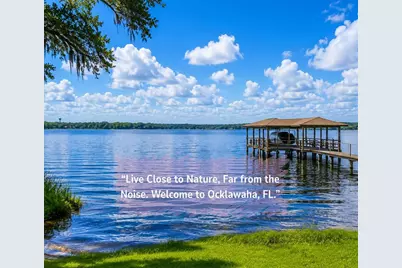 Fisher Ln Ct, Ocklawaha, FL 32179 - Photo 28