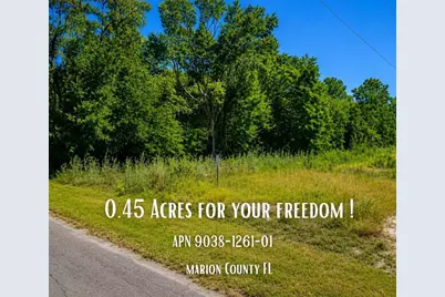 Fisher Ln Ct, Ocklawaha, FL 32179 - Photo 34