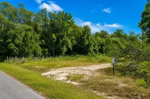 Fisher Ln Ct, Ocklawaha, FL 32179 - Photo 1