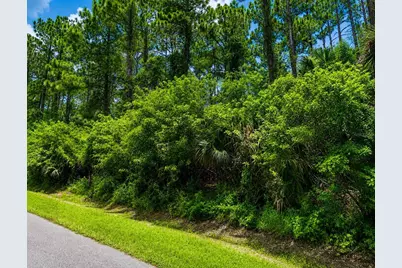 Belladonna Ave, North Port, FL 34286 - Photo 4