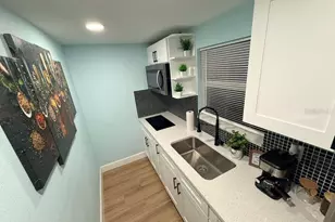 1835 15th Ave S, Saint Petersburg, FL 33712 - Photo 34