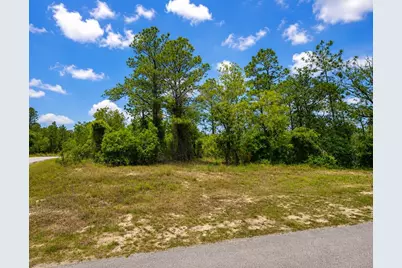 Sw Sea Cliff Ave, Dunnellon, FL 34431 - Photo 38