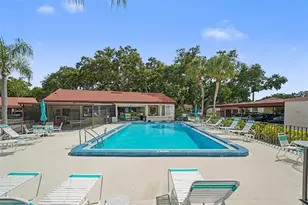 491 Exmoor Terrace, Dunedin, FL 34698 - Photo 14