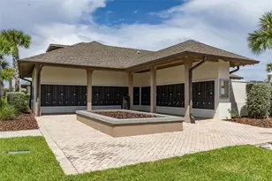 5111 Dandelion St, Apollo Beach, FL 33572 - Photo 42