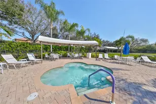 229 Silver Falls Dr, Apollo Beach, FL 33572 - Photo 58