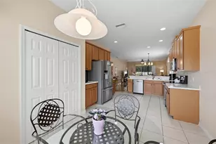 229 Silver Falls Dr, Apollo Beach, FL 33572 - Photo 12