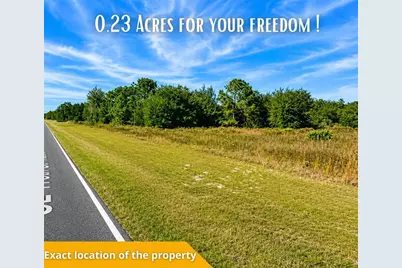 Se 113th St Rd, Ocklawaha, FL 32179 - Photo 44