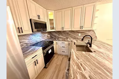 2747 5th Ct, Palm Harbor, FL 34684 - Photo 16