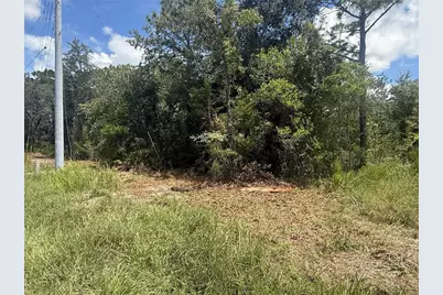 12220 Marvelwood Road, Weeki Wachee, FL 34614 - Photo 6