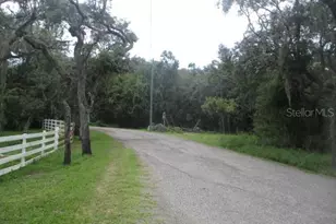 35236 Reynolds St, Dade City, FL 33523 - Photo 2