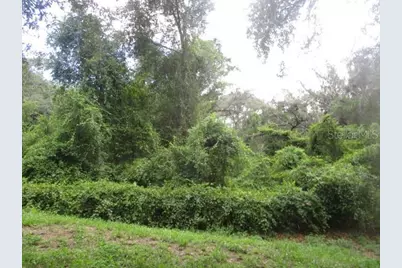 35236 Reynolds Street, Dade City, FL 33523 - Photo 10
