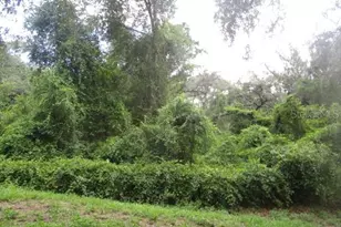 35236 Reynolds St, Dade City, FL 33523 - Photo 10