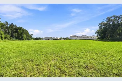 289 Magnolia Acres Court, Lutz, FL 33548 - Photo 12