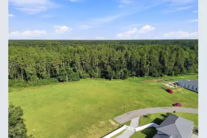 289 Magnolia Acres Court, Lutz, FL 33548 - Photo 22