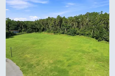 289 Magnolia Acres Court, Lutz, FL 33548 - Photo 18