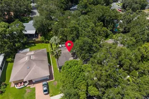 9 Harbor Cove Street W, Safety Harbor, FL 34695 - Photo 80