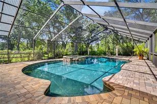 12511 Palomino Ct, Tampa, FL 33626 - Photo 64