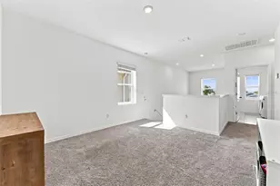 34103 White Fountain Ct, Wesley Chapel, FL 33545 - Photo 12
