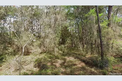 14525 SW 21st Place, Ocala, FL 34481 - Photo 2