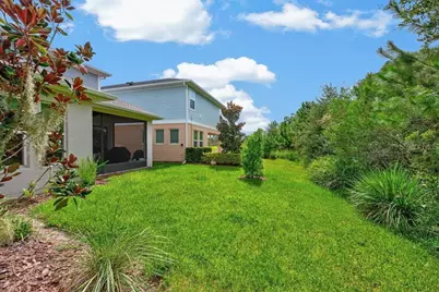 28583 Cozy Creek Drive, Wesley Chapel, FL 33543 - Photo 50