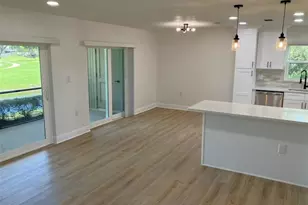 110 Evelyn Ct, Oldsmar, FL 34677 - Photo 12