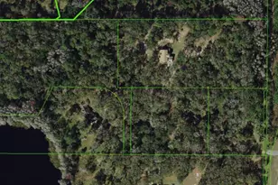 5135 Collier Pkwy, Land O Lakes, FL 34639 - Photo 2