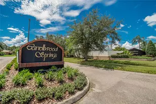 15118 Naturewalk Dr, Tampa, FL 33624 - Photo 54