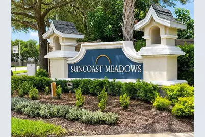 3207 Clover Blossom Circle, Land O Lakes, FL 34638 - Photo 30
