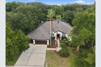 3921 Arlington Drive, Palm Harbor, FL 34685 - Photo 6