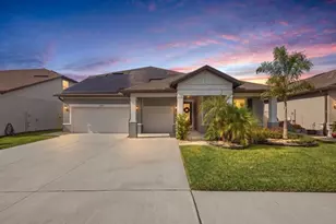 9442 Ibis Grove Blvd, Wesley Chapel, FL 33545 - Photo 1