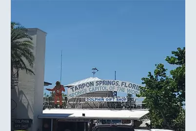 39820 US Highway 19 N #106, Tarpon Springs, FL 34689 - Photo 82