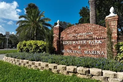 1602 Hammock Pine Boulevard #1602, Clearwater, FL 33761 - Photo 34