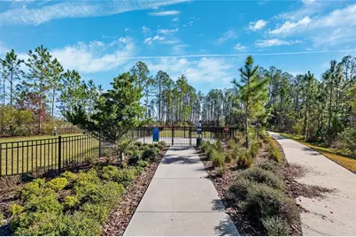 9846 Red Bay Loop, Land O Lakes, FL 34637 - Photo 24