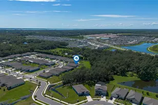 1924 Turtle Dove Ln, Kissimmee, FL 34746 - Photo 80