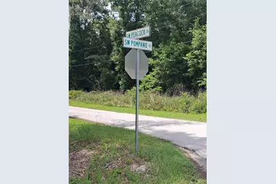 Sw Peacock Drive, Dunnellon, FL 34431 - Photo 4