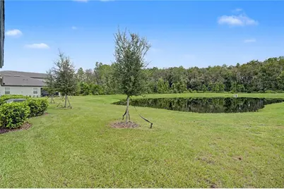 10906 Rustic Eve Court, Land O Lakes, FL 34638 - Photo 24