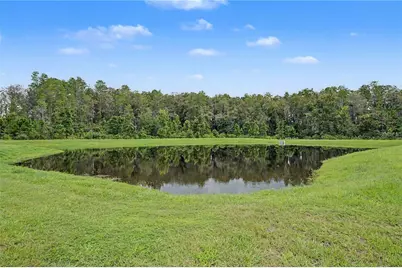 10906 Rustic Eve Court, Land O Lakes, FL 34638 - Photo 4