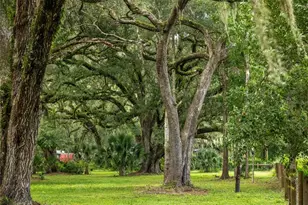 9797 Cr 674, Bushnell, FL 33513 - Photo 52