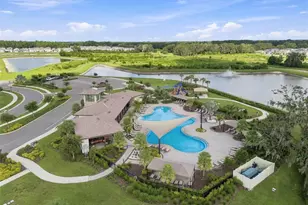 2763 Common Fig Run, Wesley Chapel, FL 33543 - Photo 6