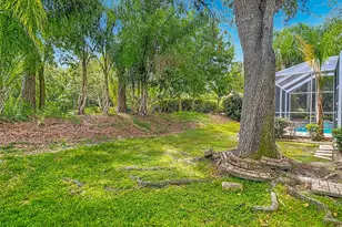 10221 Garden Alcove Dr, Tampa, FL 33647 - Photo 58