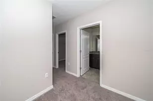 26945 Juniper Bay Dr, Wesley Chapel, FL 33544 - Photo 26