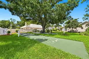 1131 Golfview Woods Dr, Ruskin, FL 33573 - Photo 50