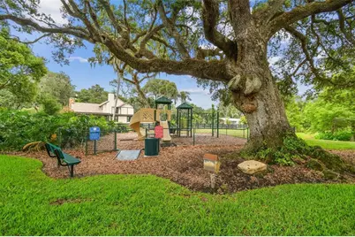 10641 Broadland Pass, Thonotosassa, FL 33592 - Photo 86